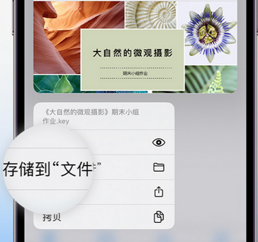 户县apple维修中心分享iPhone文件应用中存储和找到下载文件