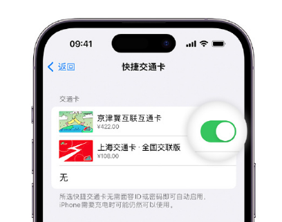 户县apple维修点分享iPhone上更换Apple Pay快捷交通卡手绘卡面 