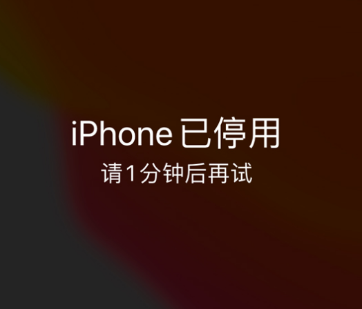 户县苹果手机维修分享:iPhone 显示“不可用”或“已停用”怎么办？还能保留数据吗？ 