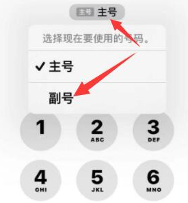 户县苹果14维修店分享iPhone 14 Pro Max使用副卡打电话的方法 