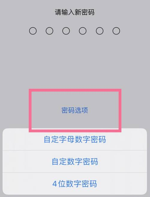 户县苹果14维修分享iPhone 14plus设置密码的方法 