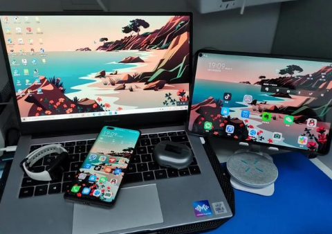 户县苹果手机维修分享为什么iPad屏幕更大价格却比iPhone低 